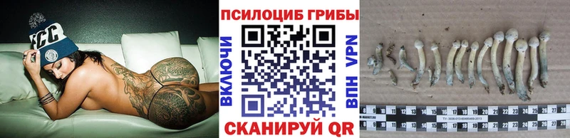 Псилоцибиновые грибы прущие грибы  Глазов 